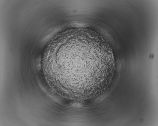 X0000111050358200906251438