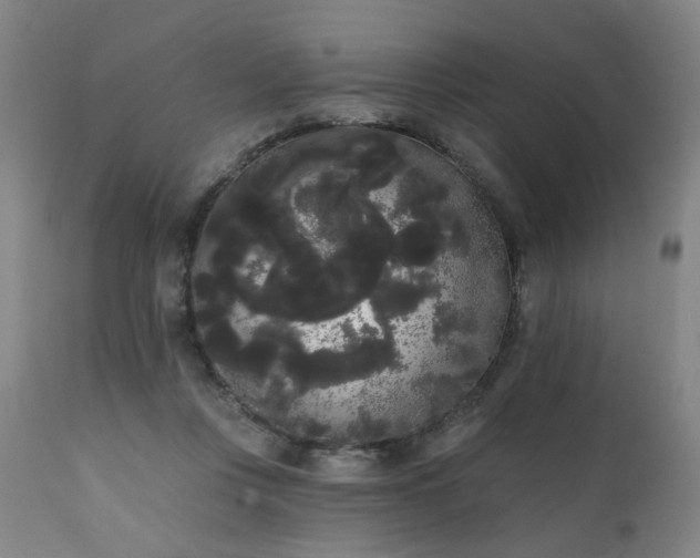 X0000111050359200906251438