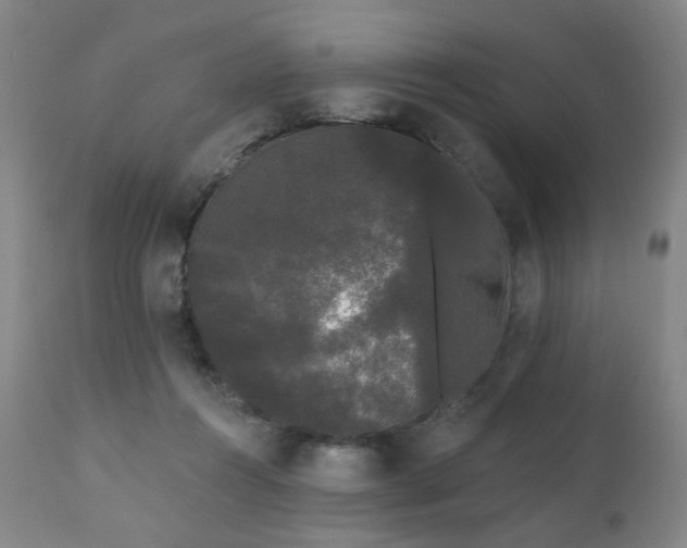 X0000111050360200906251438