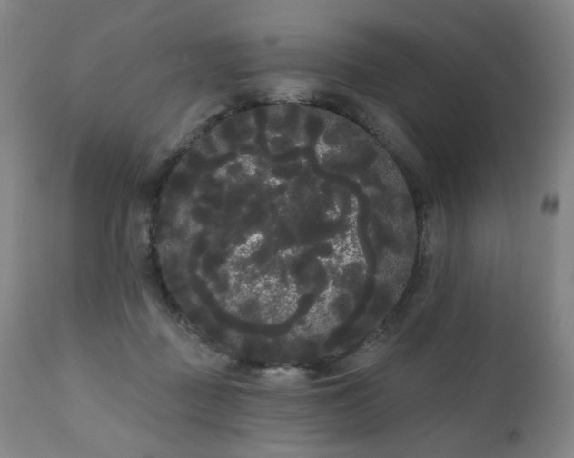 X0000111050363200906251439