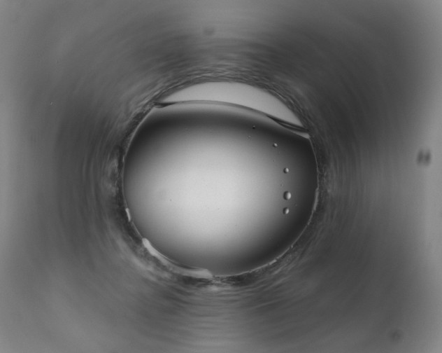 X0000111050364200906251439