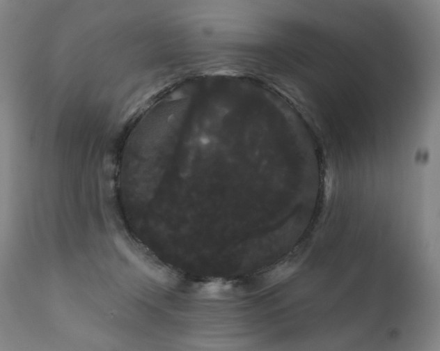 X0000111050366200906251439