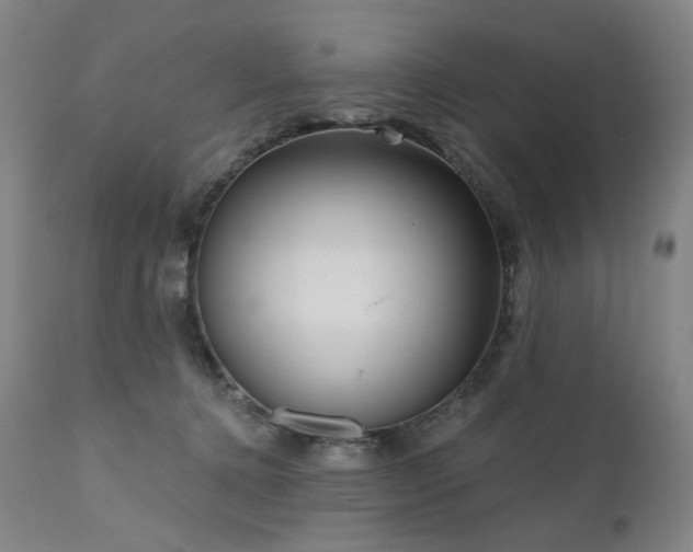 X0000111050368200906251439