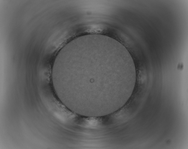 X0000111050370200906251439