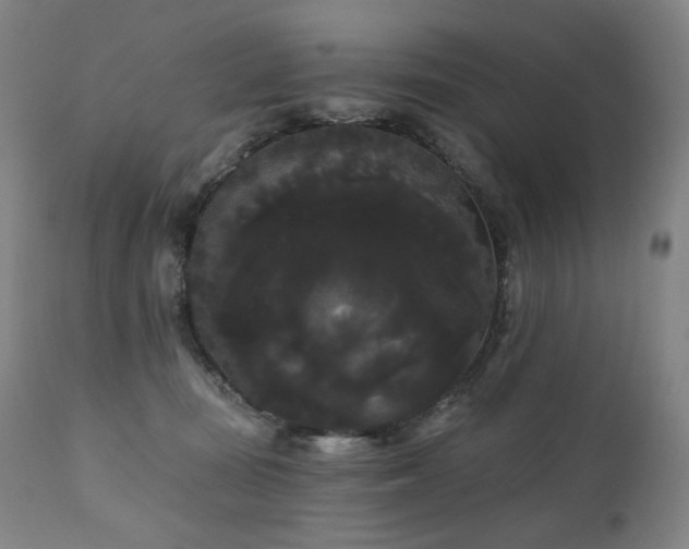 X0000111050371200906251439