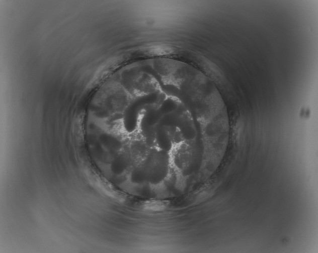 X0000111050373200906251439