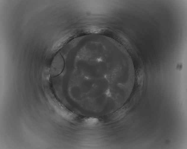 X0000111050374200906251439