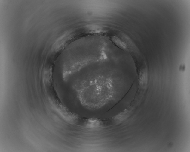 X0000111050376200906251439