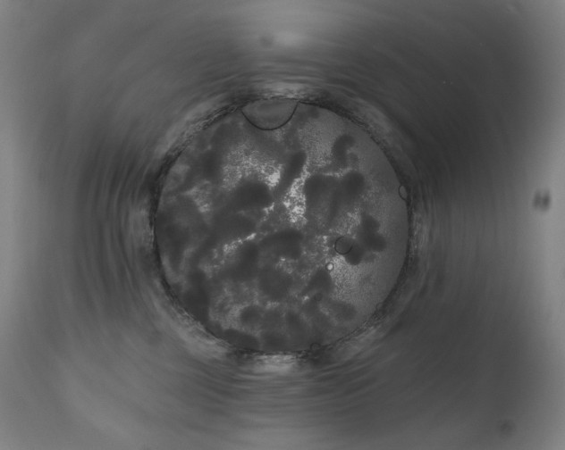 X0000111050377200906251439