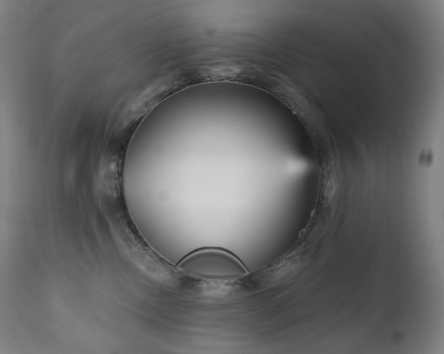 X0000111050378200906251439