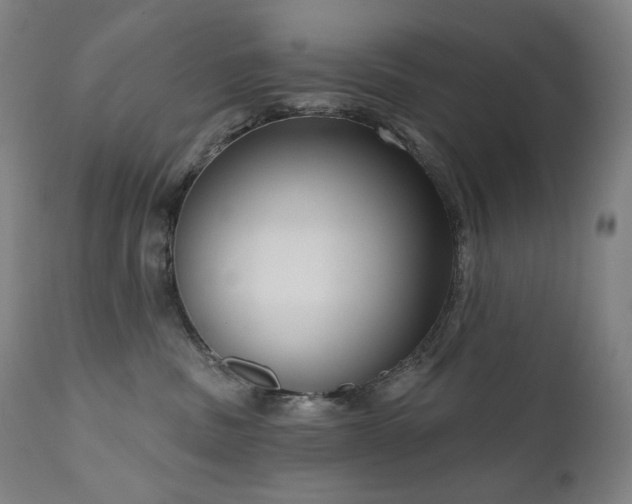 X0000111050379200906251439