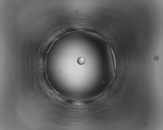 X0000111050380200906251439