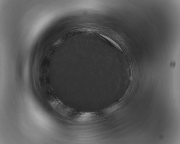 X0000111050382200906251439