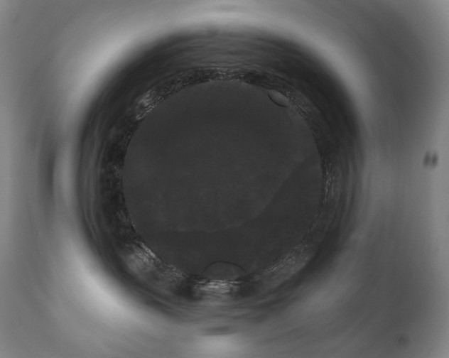 X0000111050383200906251439