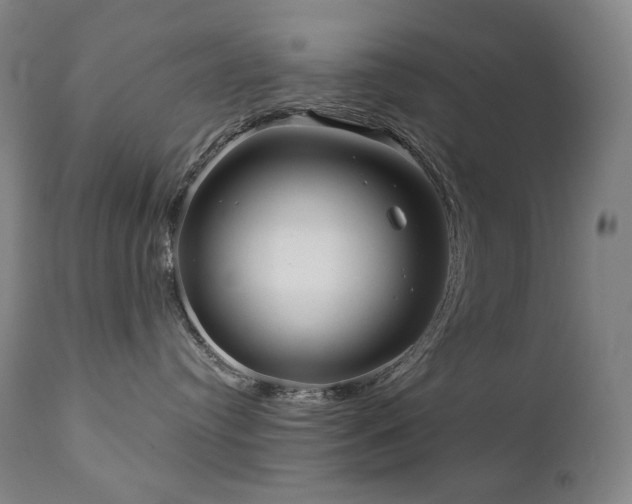 X0000111050384200906251439