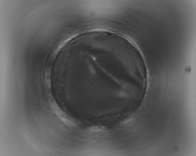 X0000111050386200906251438