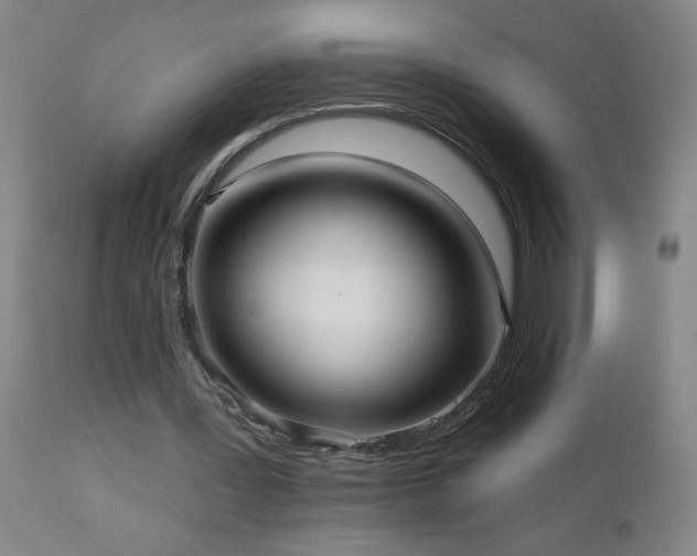 X0000111050387200906251438