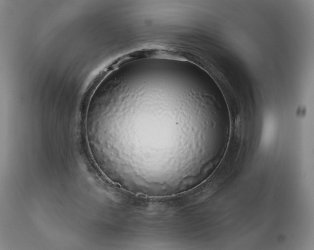 X0000111050388200906251438