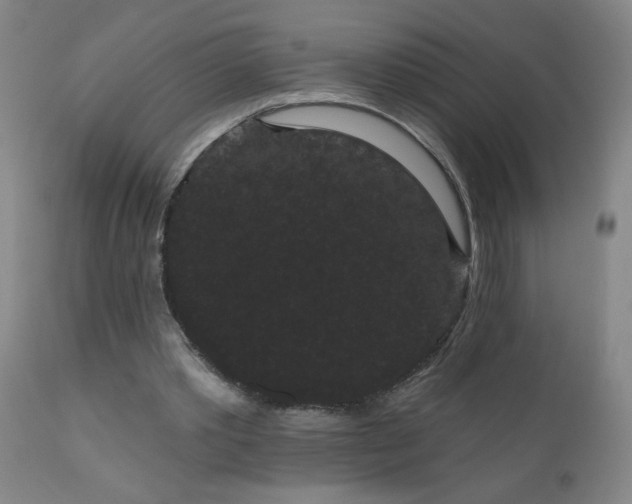 X0000111050389200906251438