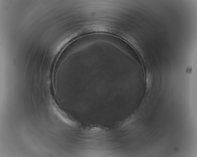 X0000111050390200906251438