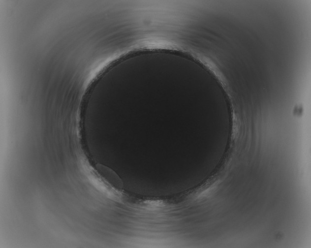 X0000111050391200906251438