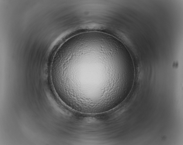 X0000111050392200906251438