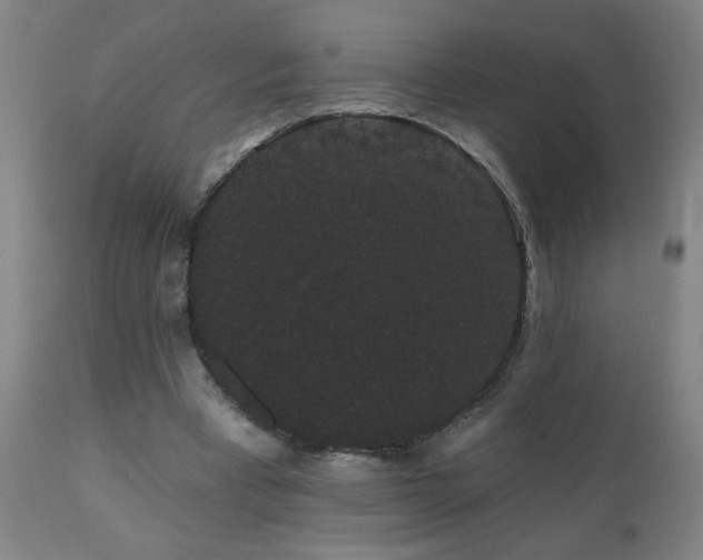 X0000111050393200906251438