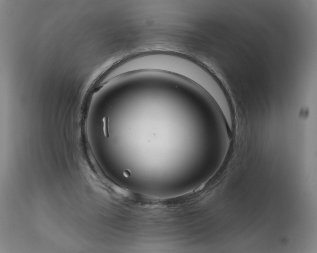 X0000111050395200906251438