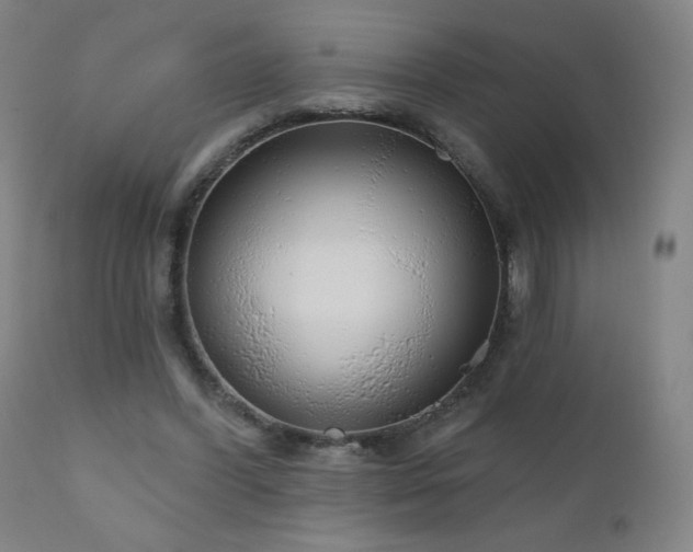 X0000111050396200906251438