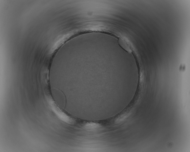 X0000111050397200906251438