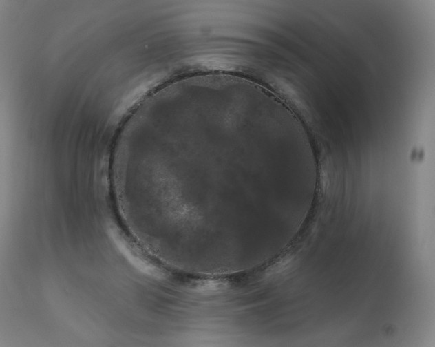 X0000111050398200906251438