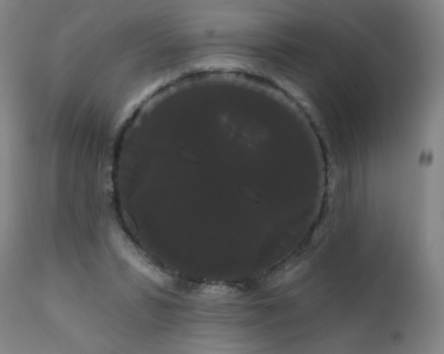 X0000111050399200906251438