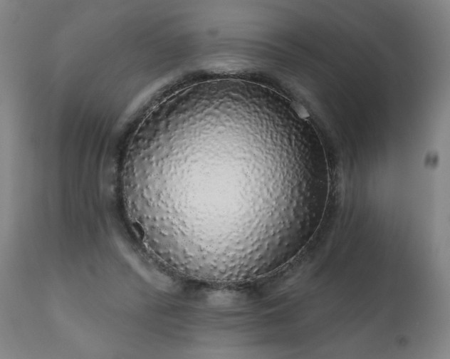 X0000111050400200906251438