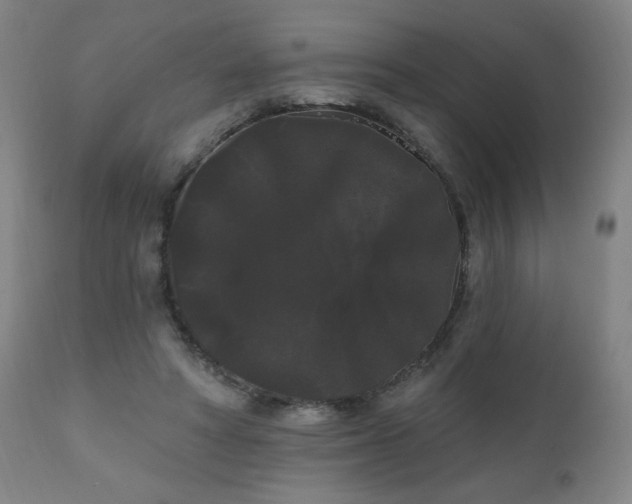 X0000111050402200906251438