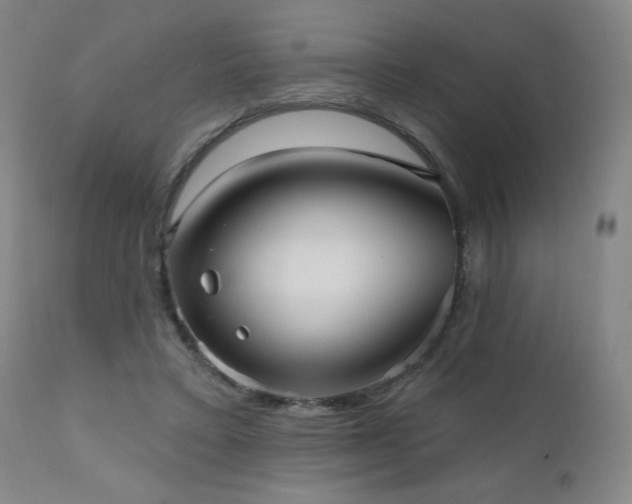 X0000111050403200906251438