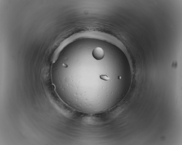 X0000111050408200906251438