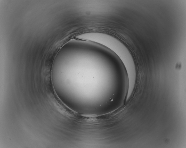 X0000111050409200906251438