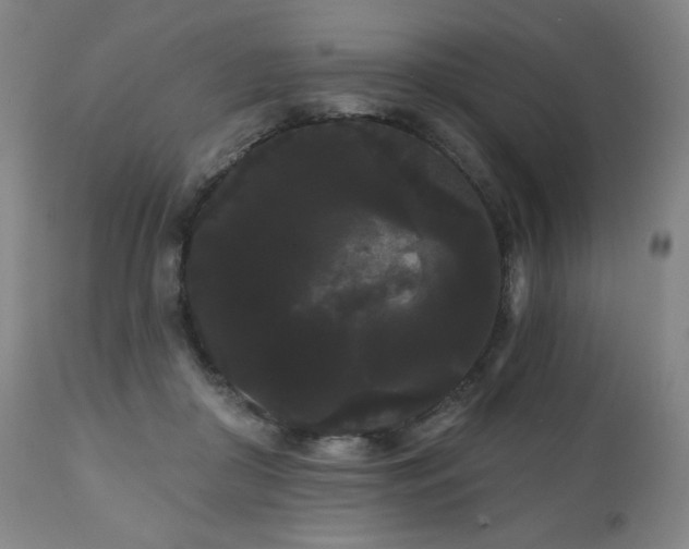 X0000111050410200906251438