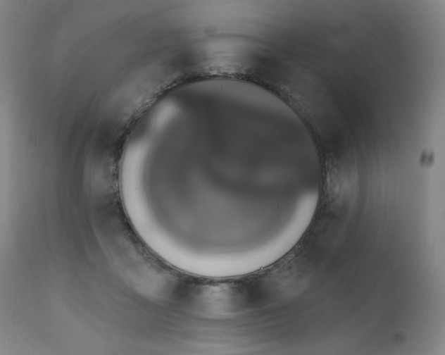 X0000111050411200906251438