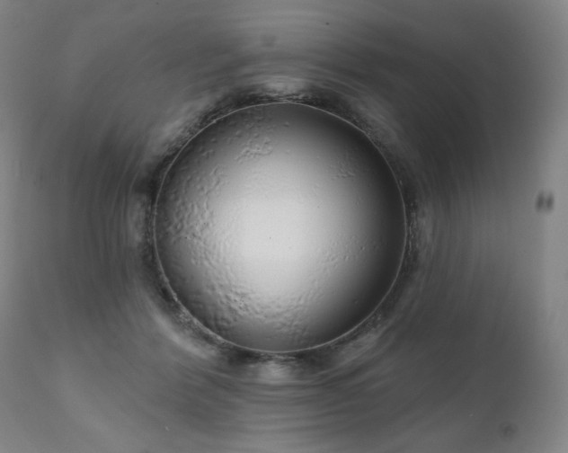 X0000111050412200906251438