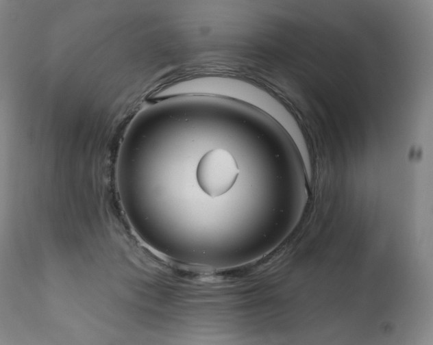 X0000111050413200906251438