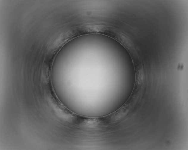 X0000111050414200906251438