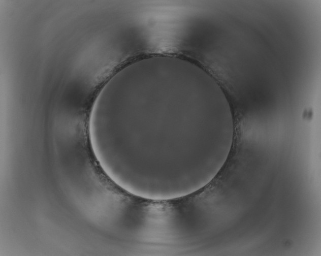 X0000111050415200906251438