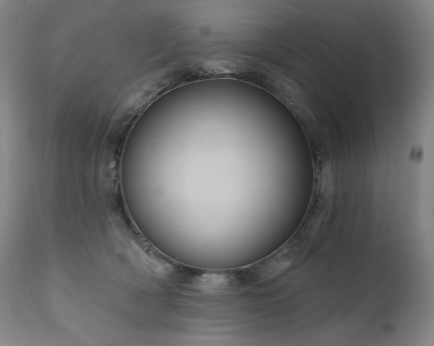 X0000111050418200906251438