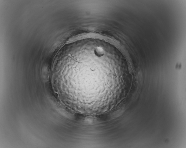 X0000111050420200906251438