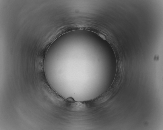 X0000111050421200906251437