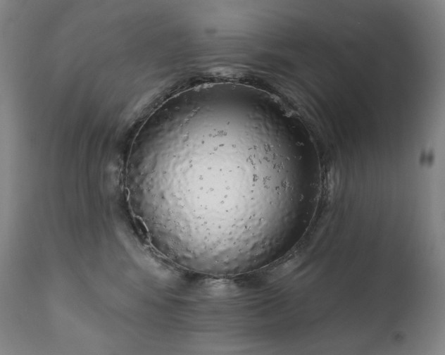 X0000111050424200906251437