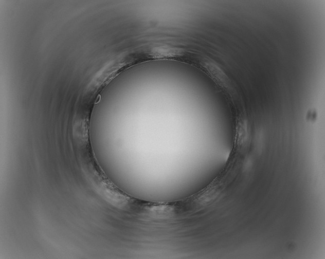 X0000111050426200906251437