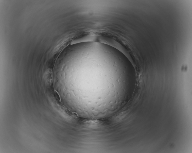 X0000111050428200906251437