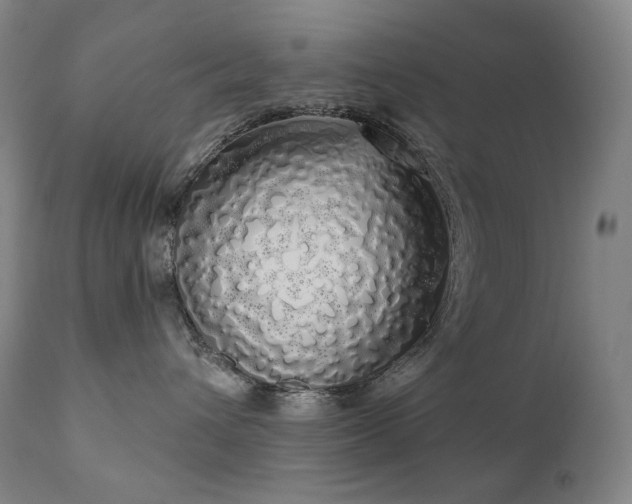 X0000111050432200906251437